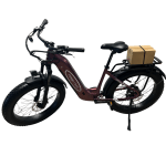 ebike