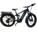1000w ebike