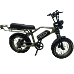 motrbike ebike